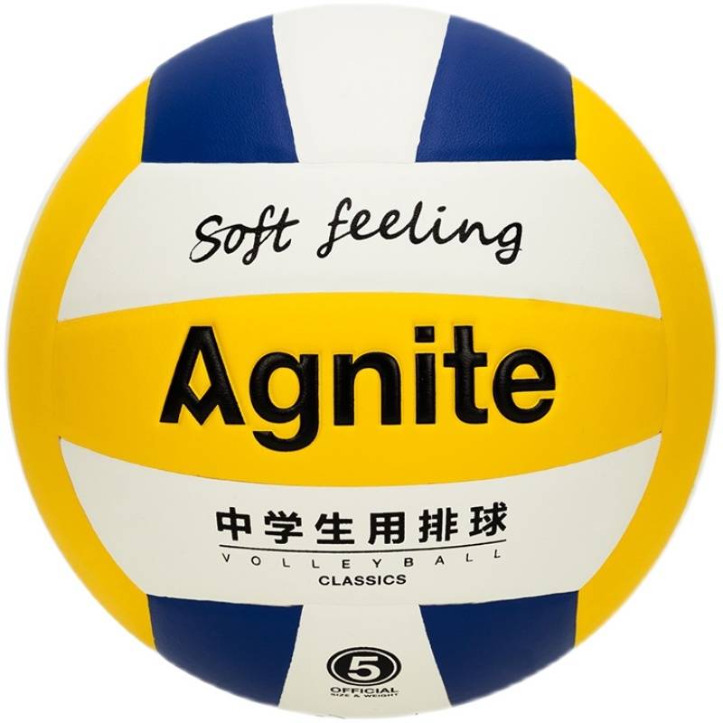 Deli Anginet F1256 Standard No. 5 Middle School Students Use PU Volleyball Student Training Competition Overseas and Outside