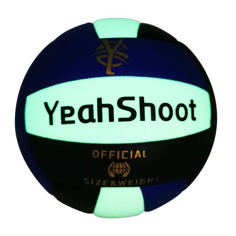 Limited Volleyball Limited Edition Gifts Middle School Student Sports Training Examination Standard Volleyball No. 5 Volleyball