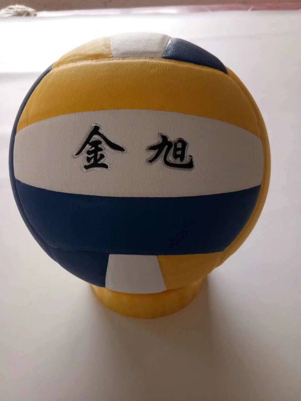 volleyball