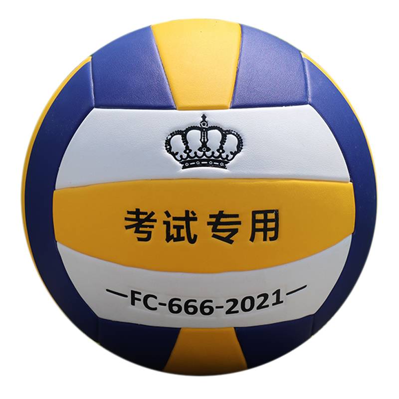 Evaporation Volleyball No. 5 Primary and Middle School Students Special Training Competition Sports Room 5 Sports Test Hard Volleyball Software