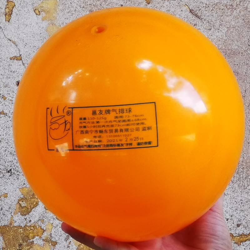 110g model (send net pocket+ball needle)