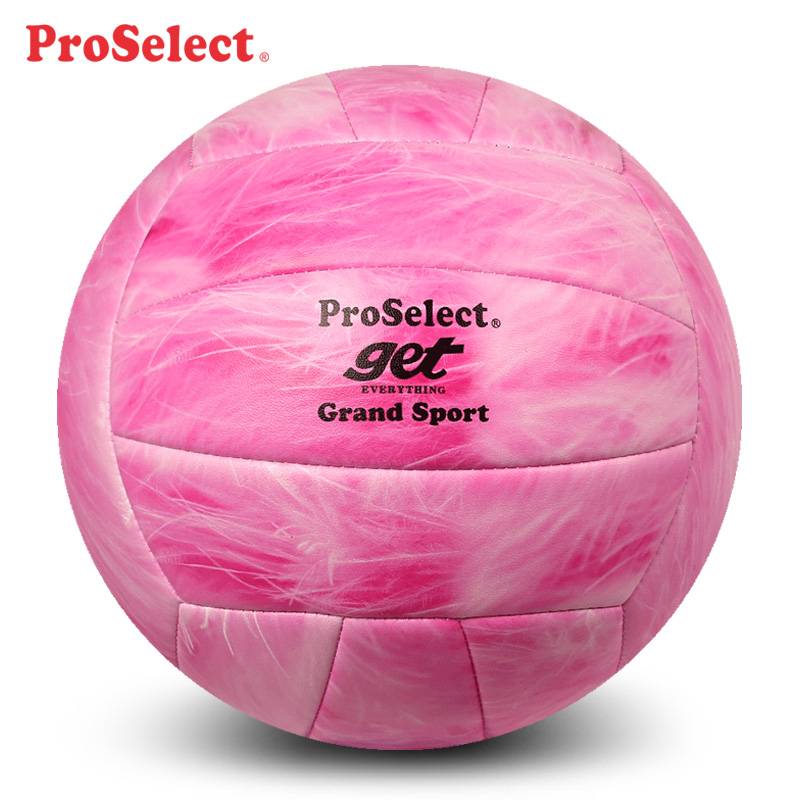 PROSELECT Specialty Volleyball Pink Bird Pink Series Student High School Ebic Training Competition Hard Row No. 5