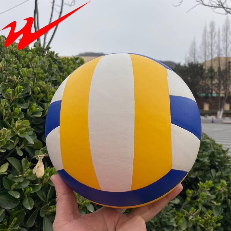 China Double Star Sports High School Ebic Volleyball No. 5 Middle School Students Sports Soft Test Soft Extraction 5 Training Competition Outside