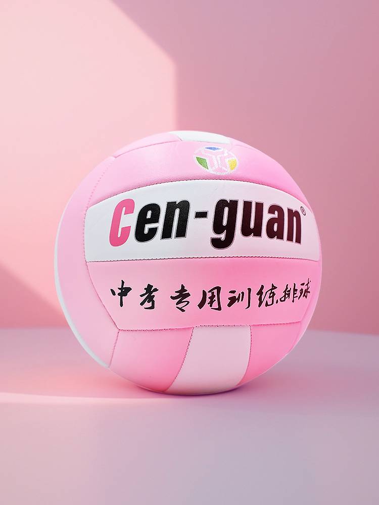 Free Printing No. 5 Volleyball Senior Entrance Examination Student Primary School Students Training Men and Women's Common Hard Soft Soft Games Volleyball
