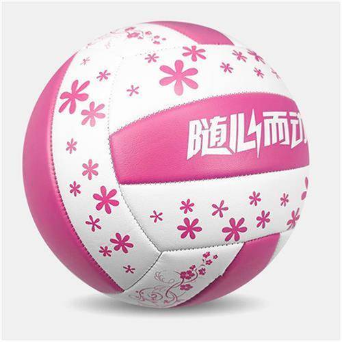Pink and white, ball+air needle+net pocket