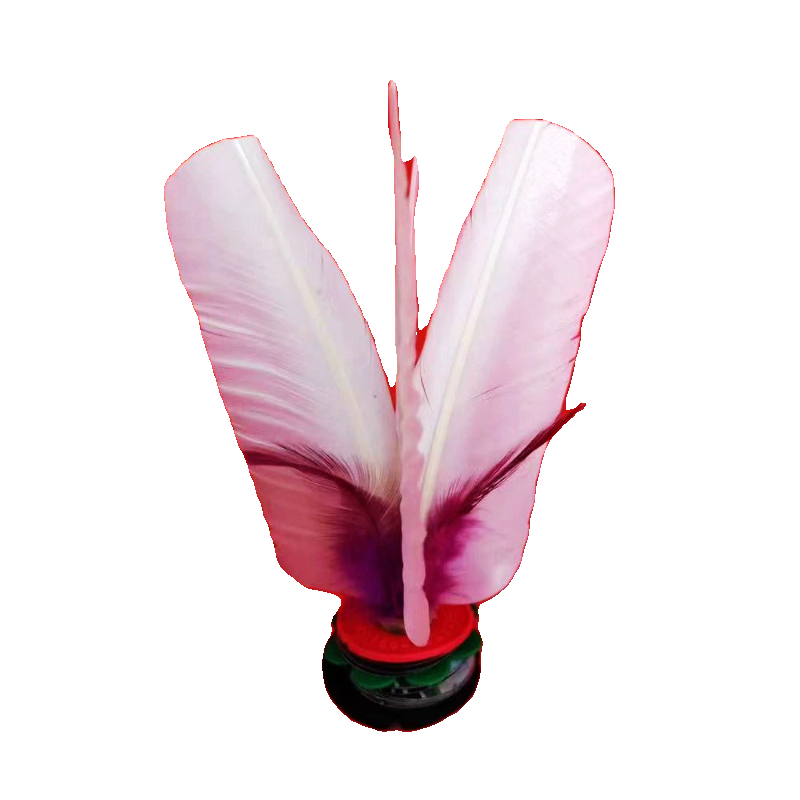Dandong Jinya Dai Baiyao New Vinyl fast medium speed slow slow adult fitness competition sports special kick kick