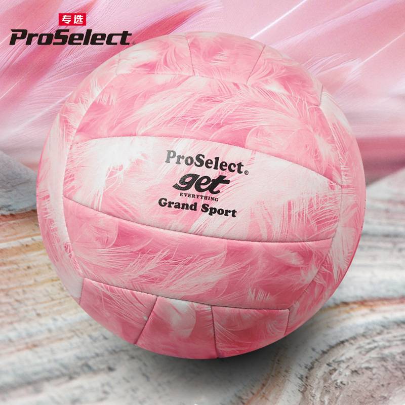 PROSELECT Specialty Volleyball Pink Bird Pink Series Student High School Ebic Training Competition Hard Row No. 5