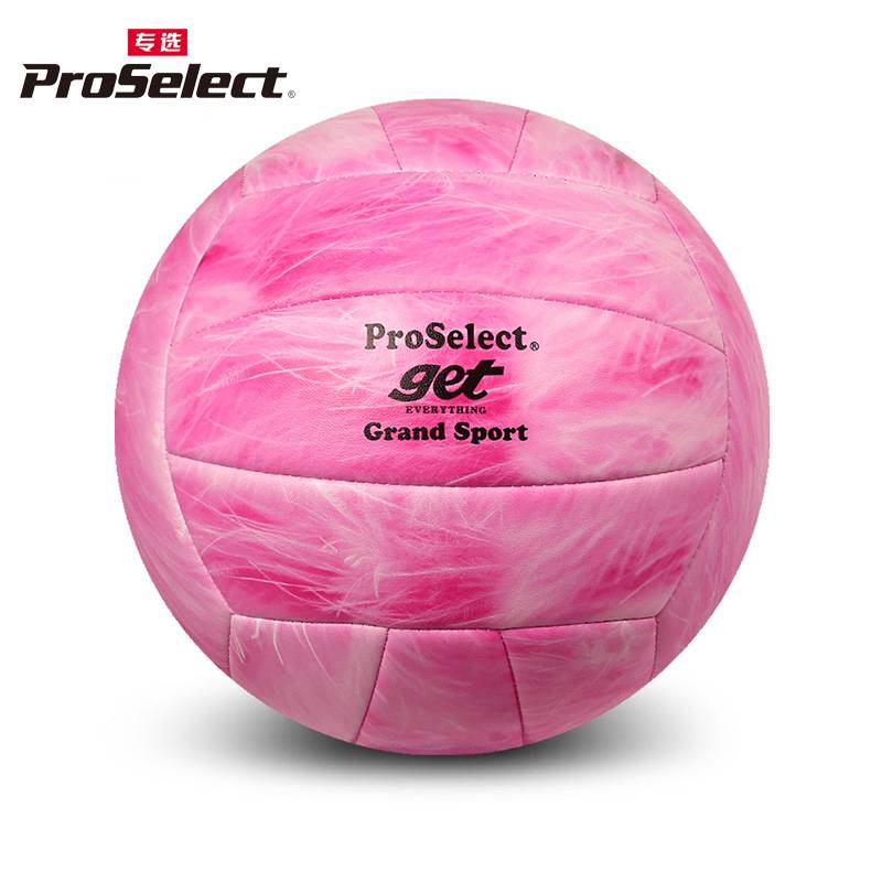 PROSELECT Specialty Volleyball Pink Bird Pink Series Student High School Ebic Training Competition Hard Row No. 5