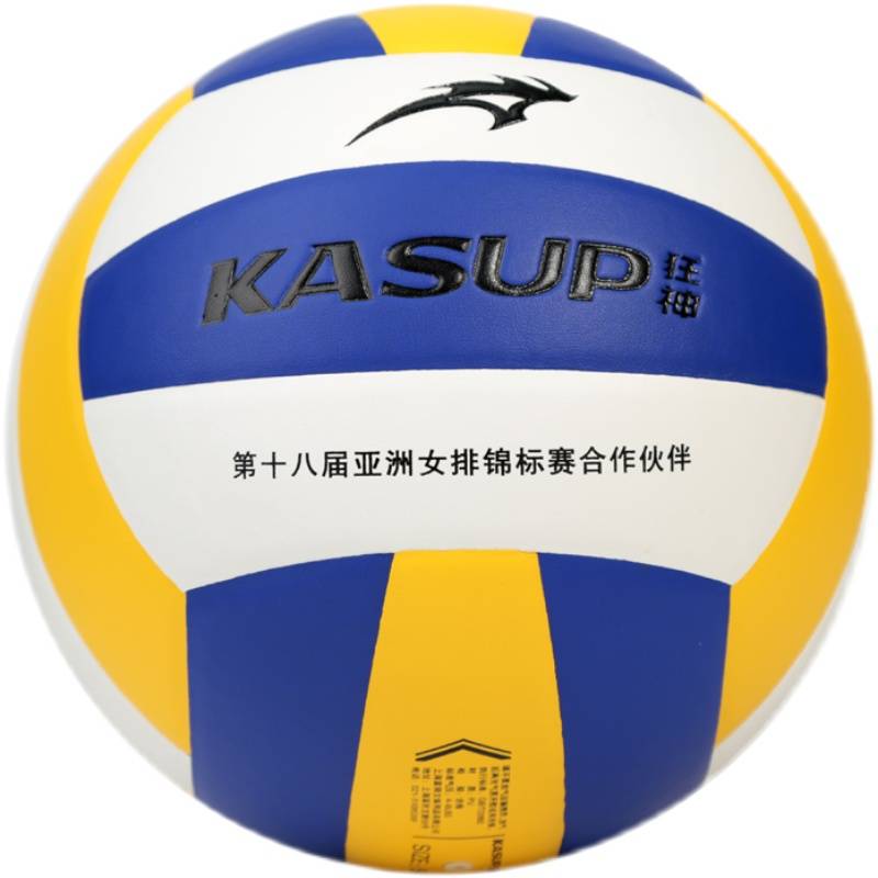 Crazy Volleyball Middle Entrance Exam No. 5 Professional Student Special Sports Test Soft Elementary Training Competition Sports Outdoor Sports