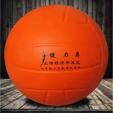 No. 5 Soft Volleyball to send a net pocket