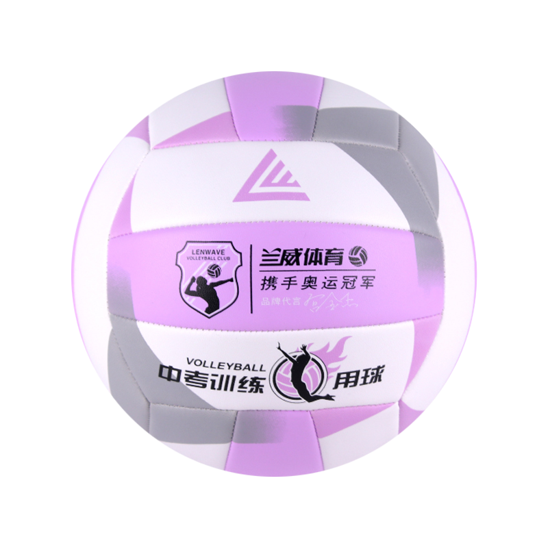 Fancy Volley Ball No. 5 Purple 0577