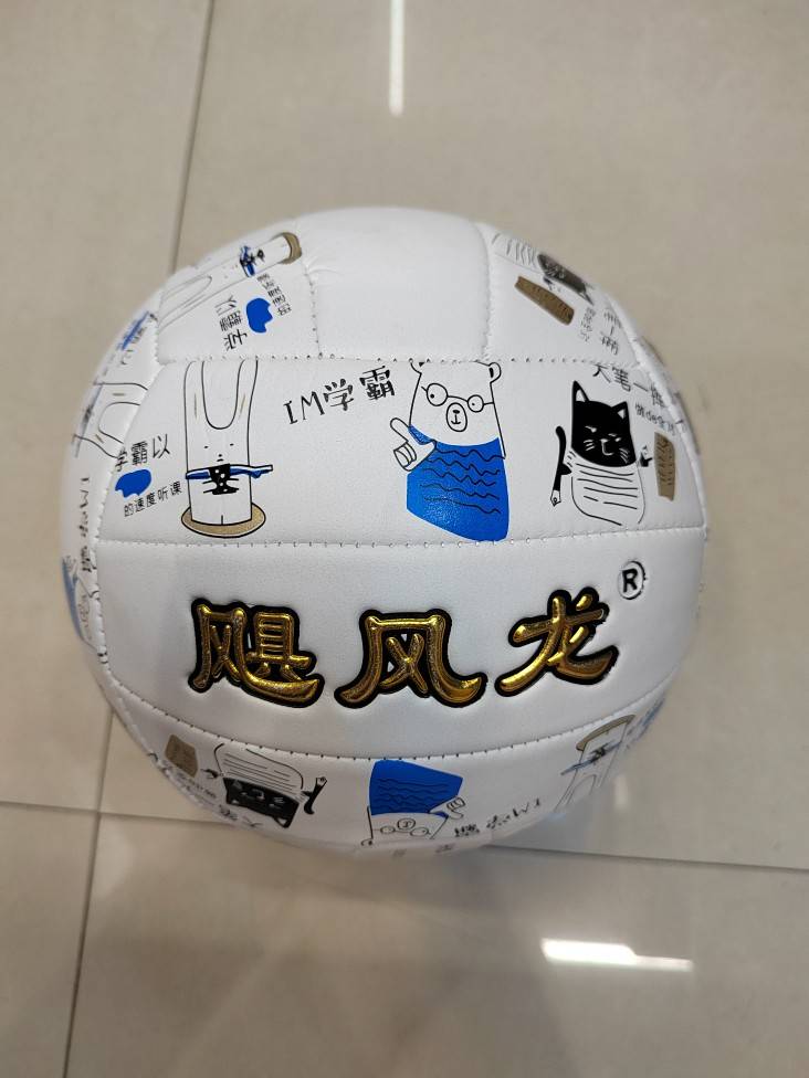 Volleyball No. 5 [No accessories]