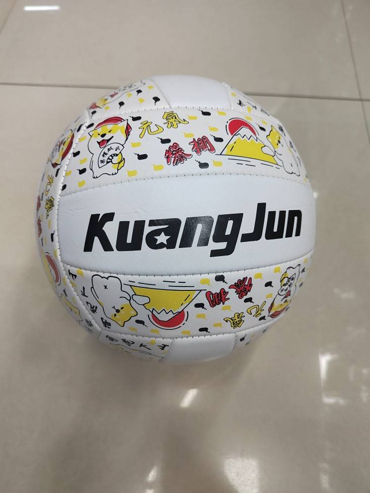No. 5 Volleyball Vitality [No Parts]