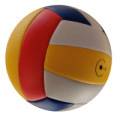 Five -color volleyball