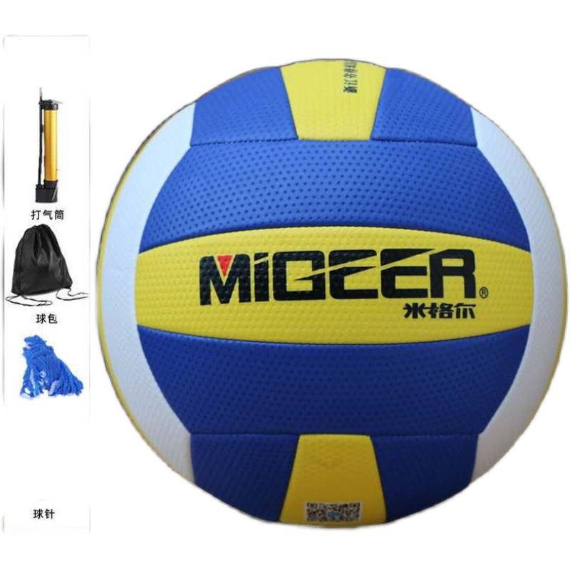Blue (air tube+air needle+net pocket+ball bag)
