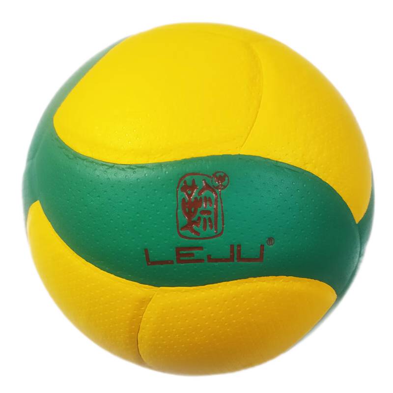 Changde LV3000 volleyball+gas needle+ball network