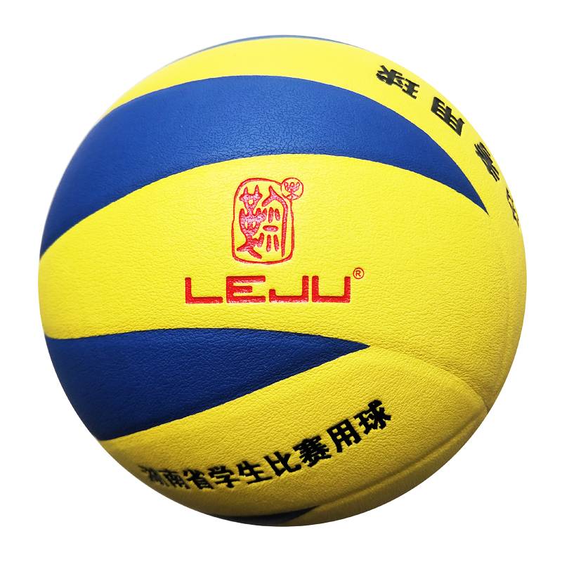 Changsha LV1000 volleyball+gas needle+ball network