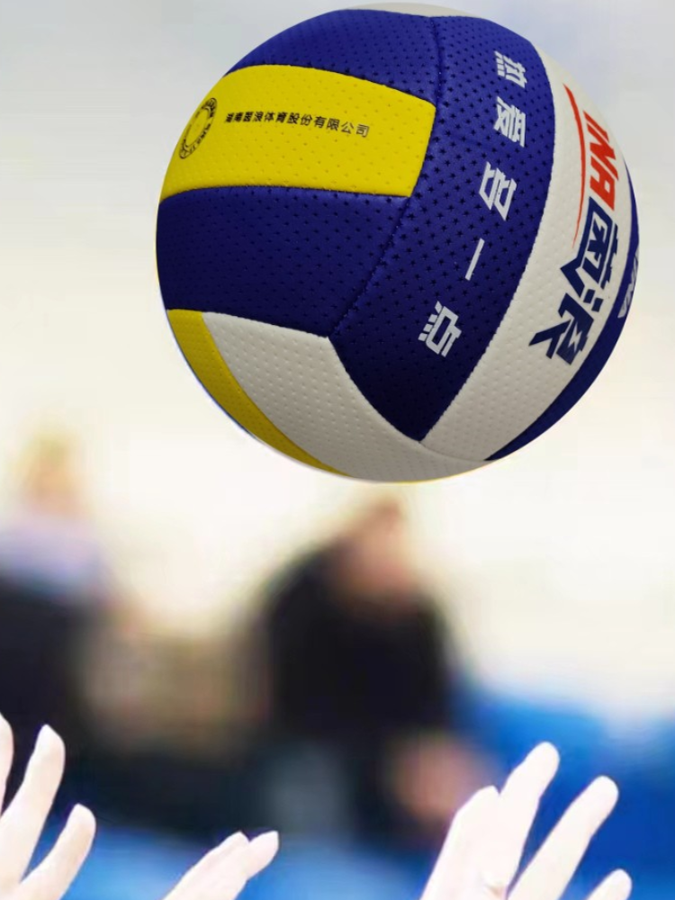 INFLUENZA VOLLEYBALL IN-6009, SENIOR UNIVERSITY STUDENT, YOUTH 7 SOFTBALL, 6002 VOLLEYBALL