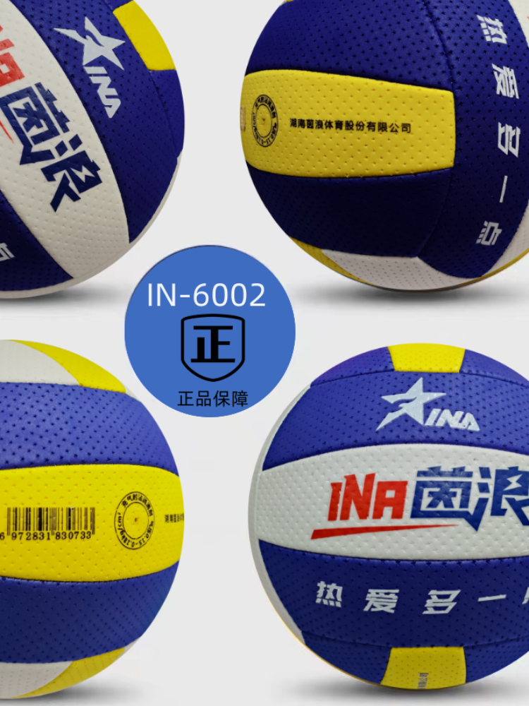 INFLUENZA VOLLEYBALL IN-6009, SENIOR UNIVERSITY STUDENT, YOUTH 7 SOFTBALL, 6002 VOLLEYBALL
