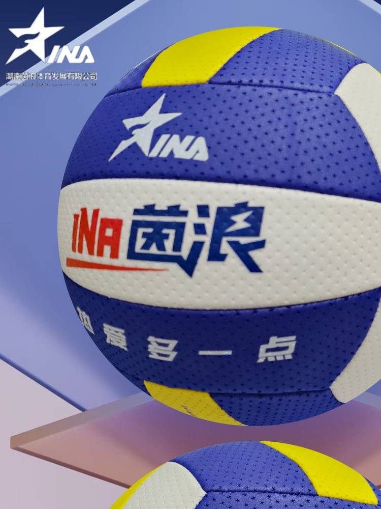 INFLUENZA VOLLEYBALL IN-6009, SENIOR UNIVERSITY STUDENT, YOUTH 7 SOFTBALL, 6002 VOLLEYBALL