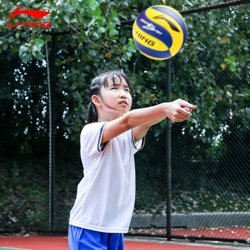 Li Ning High School Ebic Volleyball No. 5 Middle School Students Special Sports Test Soft Extraction 5 Training Competition Sports Outdoor Outdoor