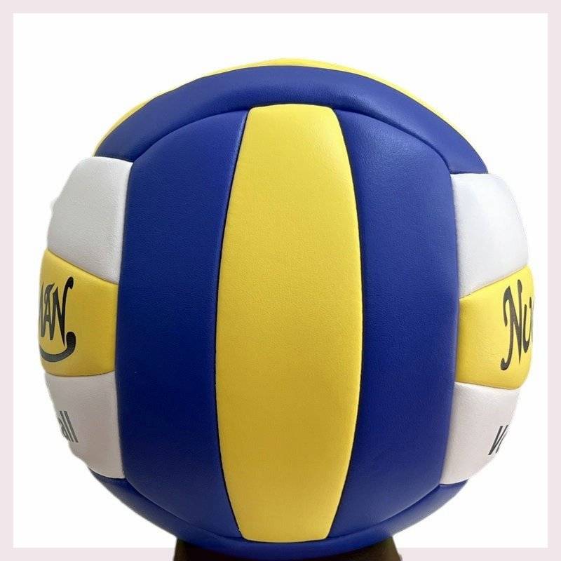 Beiying Tree Volleyball Brand Store Competition Soft Elementary Child Children's Sports Exam Entrance High School Entrance Exam Student