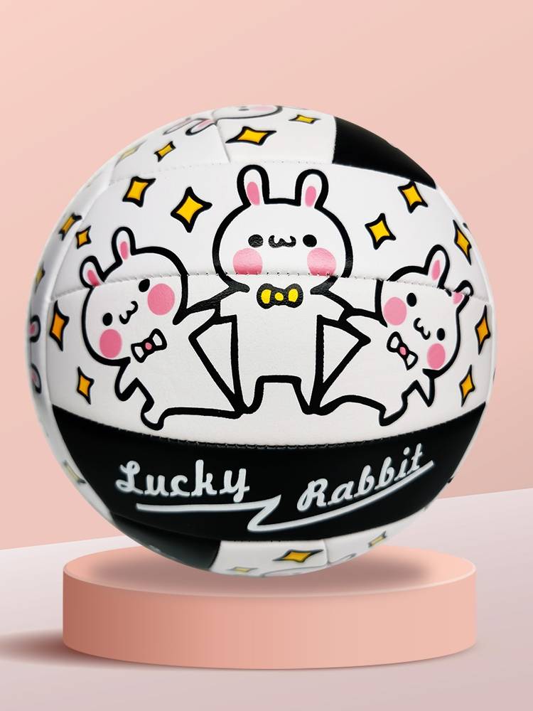 No. 5 Volleyball Middle School Entrance Examination Student Junior High School Student Primary School Children No. 4 Training Exam Soft Skin and Hard Volleyball Cute