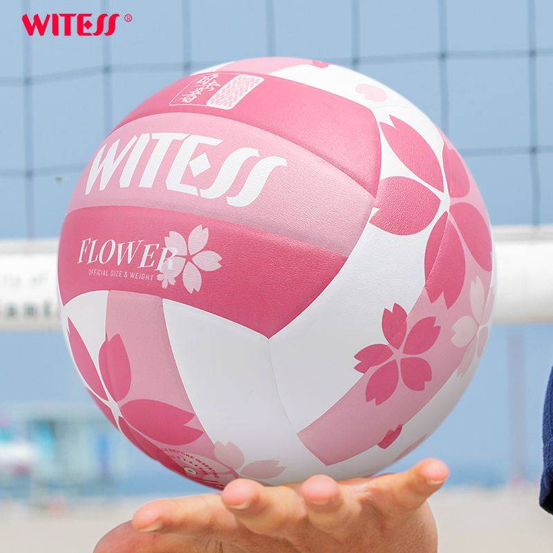 WITESS Standard No. 5 Volleyball Primary School Student Soft Elementary School Entrance Examination Competition Training High -value Special