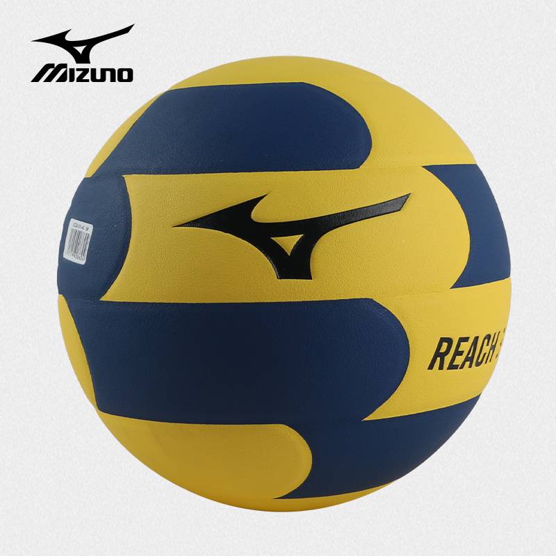 Professional training ball — No. 5 ball