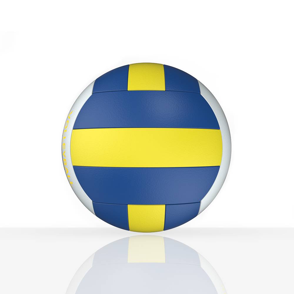 Yousen 5 Volleyball Student Sports Entrance Exam Sports Special Training Exam Standard Qi Volleyball