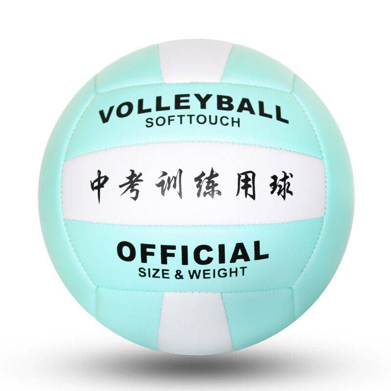 Blue No. 5 inflatable volleyball