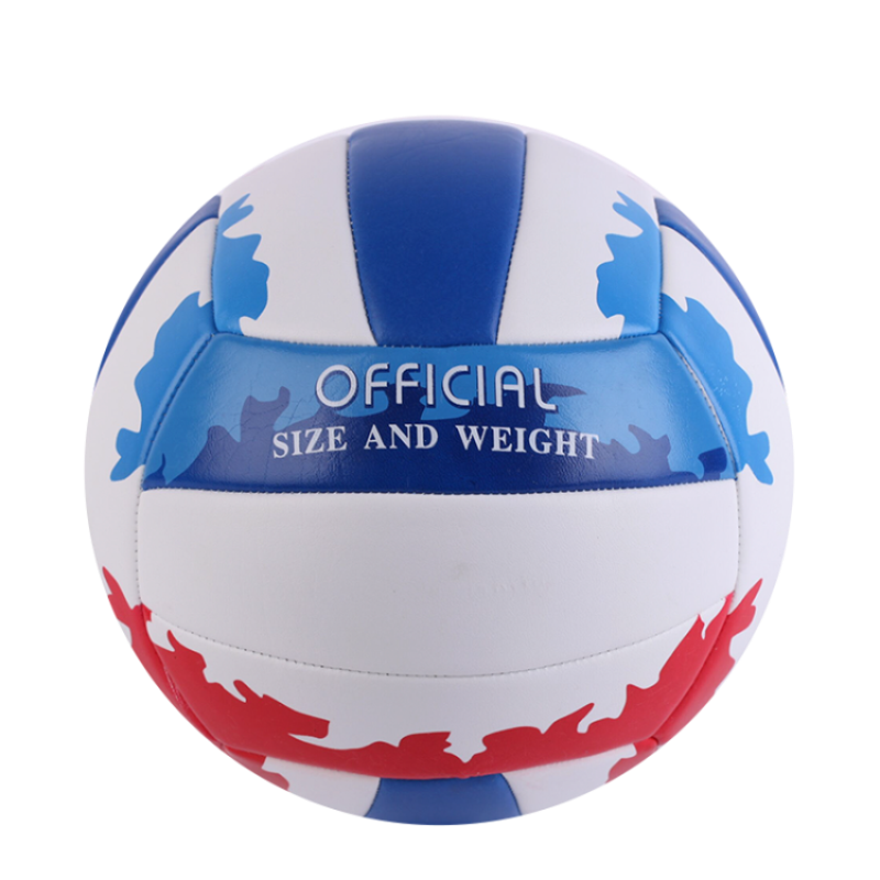 Genuine Dingxuan Volleyball Senior Entrance Examination Student No. 5 Volleyball Flame Soft Adult Men and Women Examination Training Soft Euk