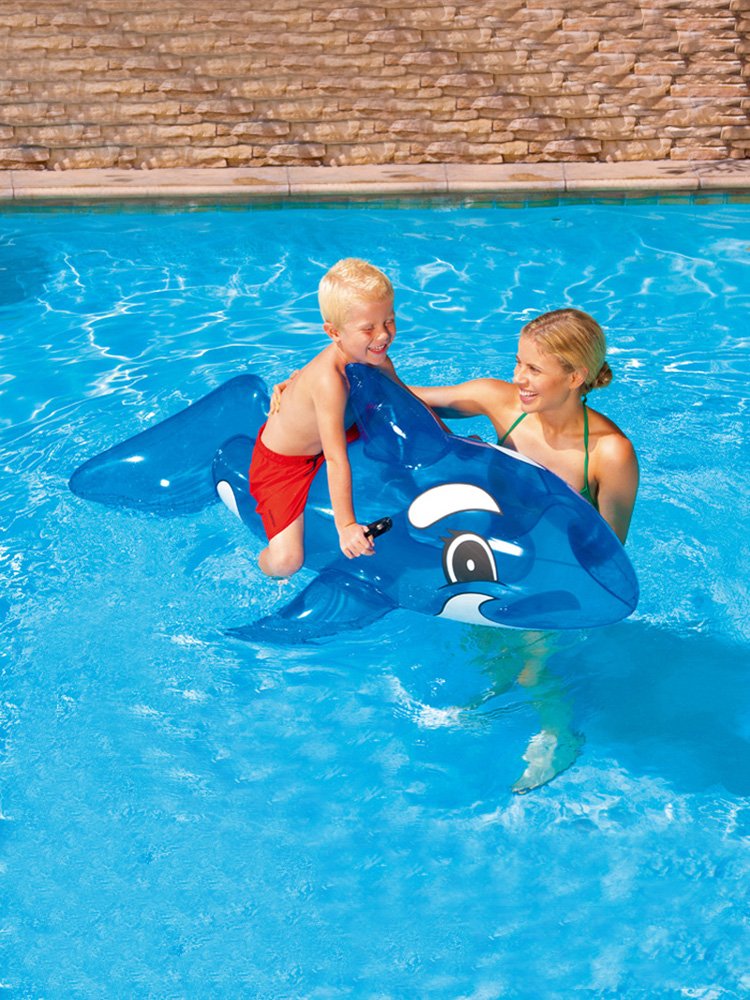 Swimming in the swimming ring, playing under the red armpits of the dolphins on the shark's toy