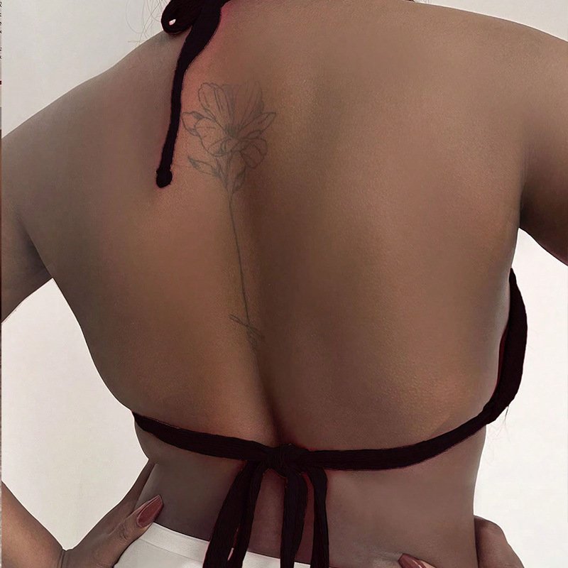 2024 new Euromed with a big beach bathing suit for a girl with a fat-backed sister, Bikini