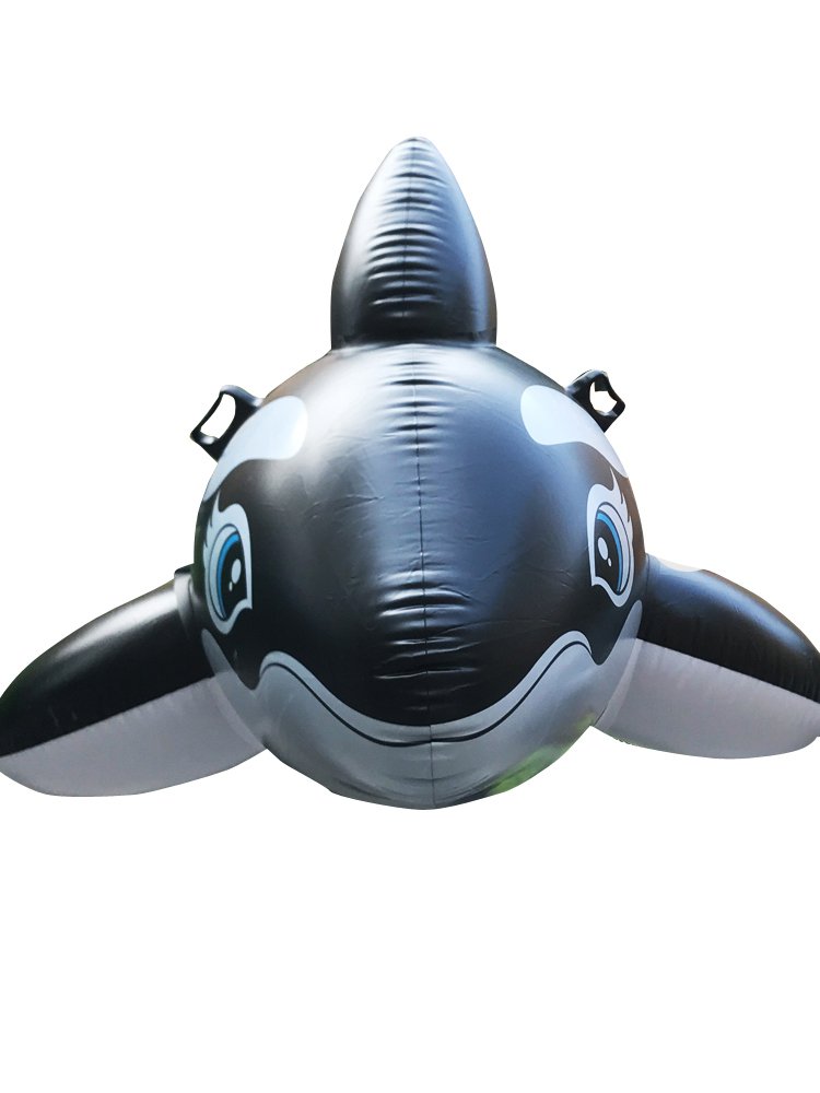 Water surfing on adult children's swimmers Black Whale Sharks and Dolphins floating in inflating toys