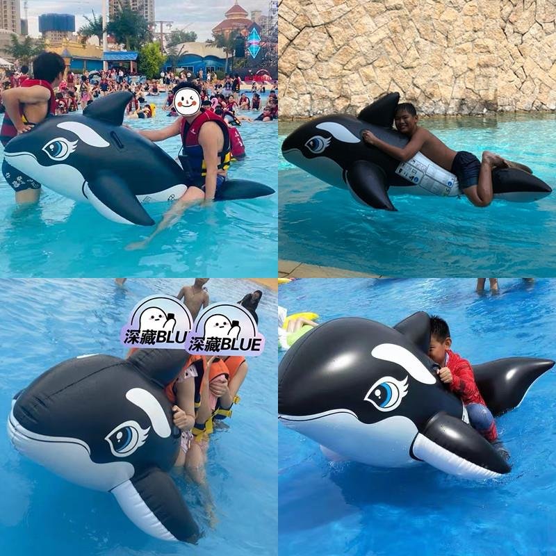 The swimming pool floats on a children's swimming ring and sits on an inflatable super-swipe dolphin whale