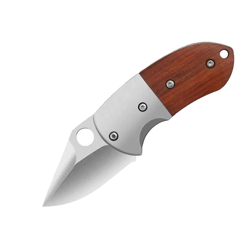 Multifunctional folding of a mini-molecular-coloured knife with a portable stainless steel knife to open a field trip