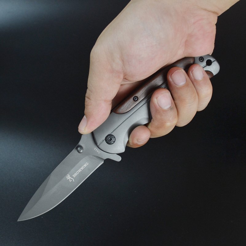 A small knife, a high-heavy outsider, multi-purpose knife, a folding knife, and a fruit knife