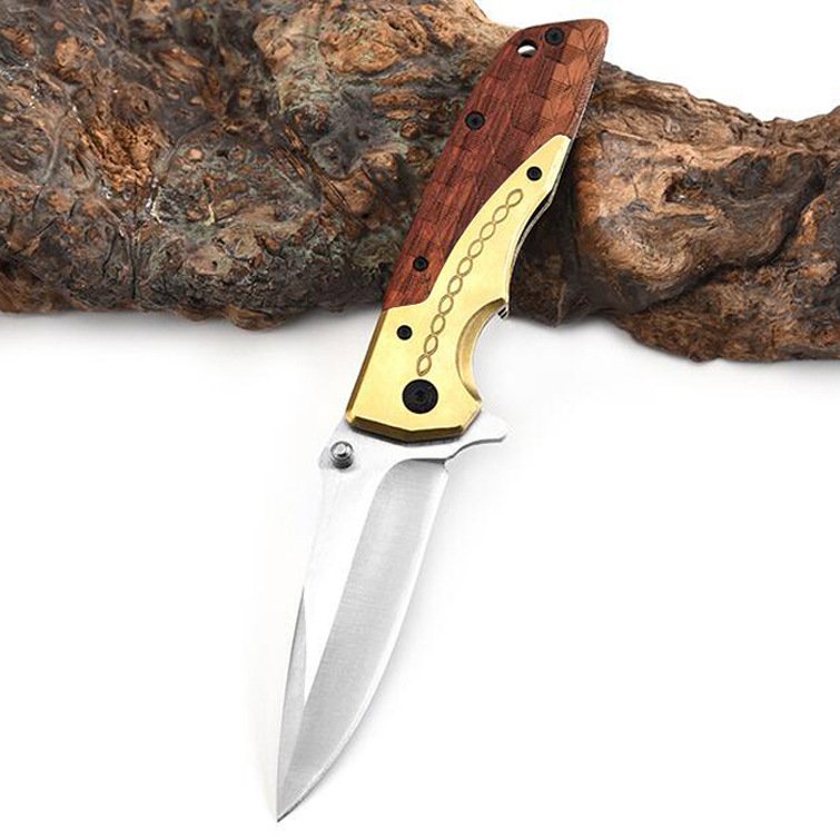AN OUTDOOR FOLDING OF A SMALL KNIFE CAMPER WITH A RIGID MILITARY KNIFE TO PROTECT THE HOME WITH A FRUIT KNIFE