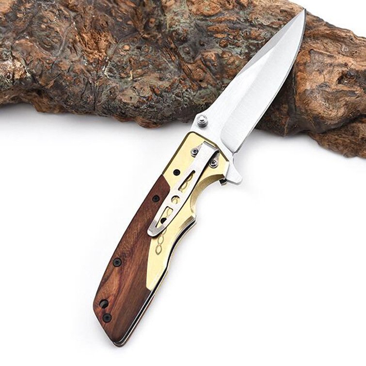 AN OUTDOOR FOLDING OF A SMALL KNIFE CAMPER WITH A RIGID MILITARY KNIFE TO PROTECT THE HOME WITH A FRUIT KNIFE
