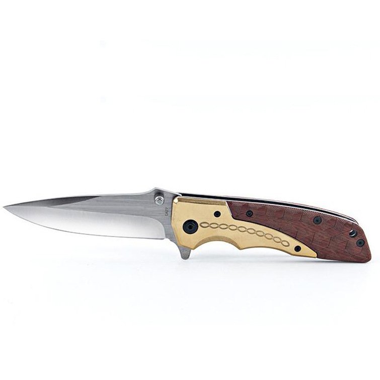 AN OUTDOOR FOLDING OF A SMALL KNIFE CAMPER WITH A RIGID MILITARY KNIFE TO PROTECT THE HOME WITH A FRUIT KNIFE