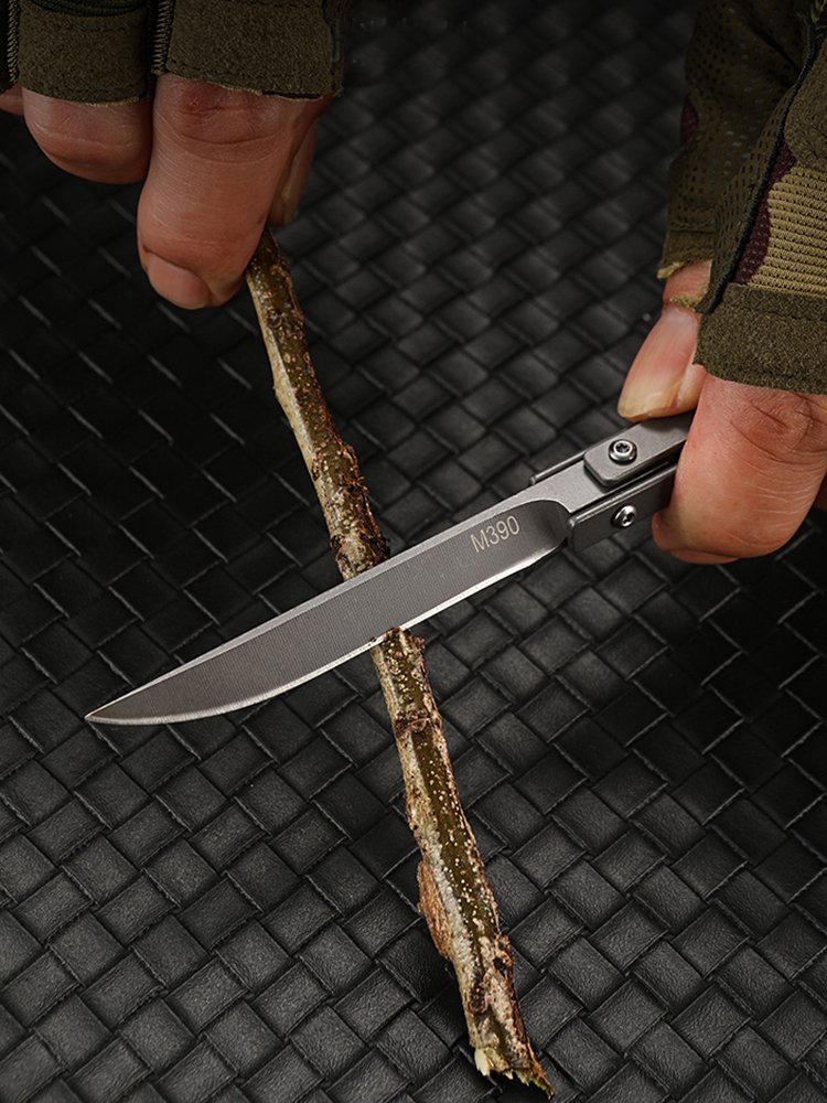 I'LL TAKE M390 WITH MY HAND, AND I'LL ROAST THE VEAL, THE LAMB, AND THE VEAL, AND CUT THE FRUIT WITH A GUACAMOLE