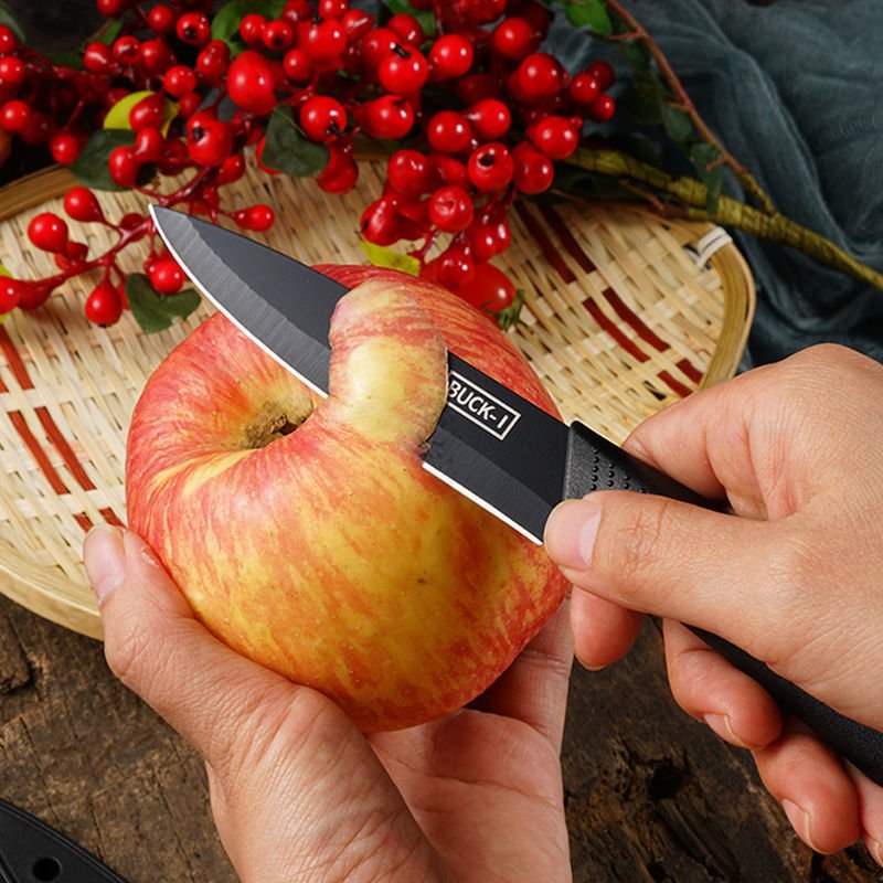 The stainless steel family uses a fruit knife with a knife and a knife to cut it with