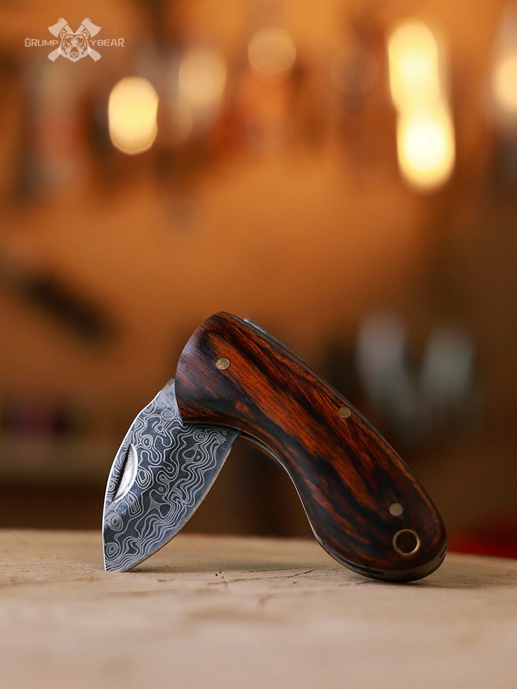 G&B WOOD HANDLE FOLDING FRUIT KNIFE OUTSIDE OF THE HOUSE WITH STAINLESS STEEL FOR A PICNIC