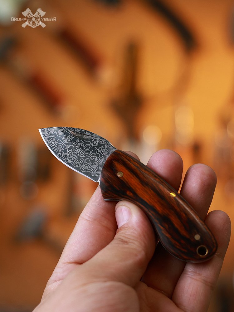 G&B WOOD HANDLE FOLDING FRUIT KNIFE OUTSIDE OF THE HOUSE WITH STAINLESS STEEL FOR A PICNIC