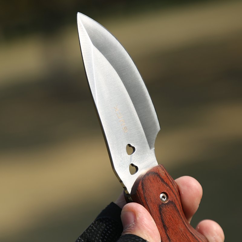 G & B WITH A RUSTY STEEL AND FRUIT KNIFE, CAMPING WITH A SMALL KNIFE AND A WOODEN HANDLED OUTING