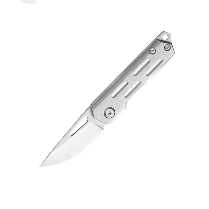 MINI-D2 OUTSIDE FOLDS HIGH-STRING, STAINLESS STEEL AND FRUIT KNIVES, AND THEN THE KEY BUTTONS THE DELIVERY KNIFE