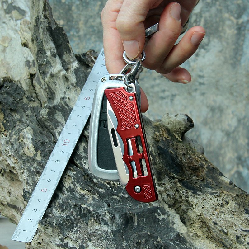 An outdoor mini-slash of stainless steel and a key knife travels with a fruit knife to camp