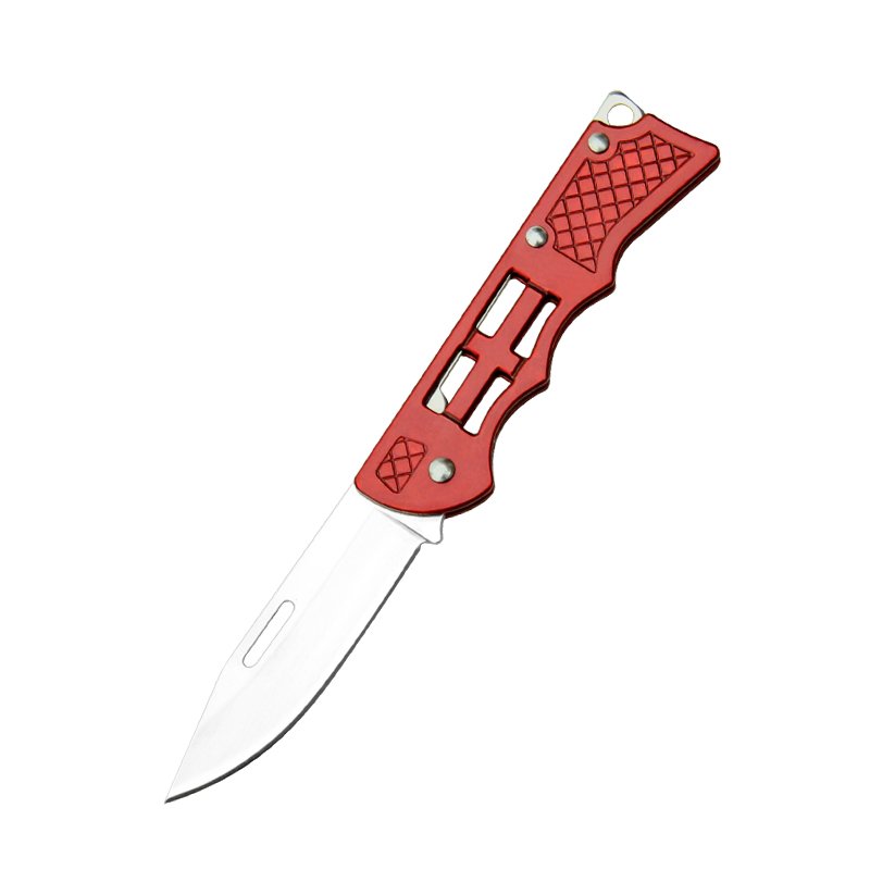 An outdoor mini-slash of stainless steel and a key knife travels with a fruit knife to camp