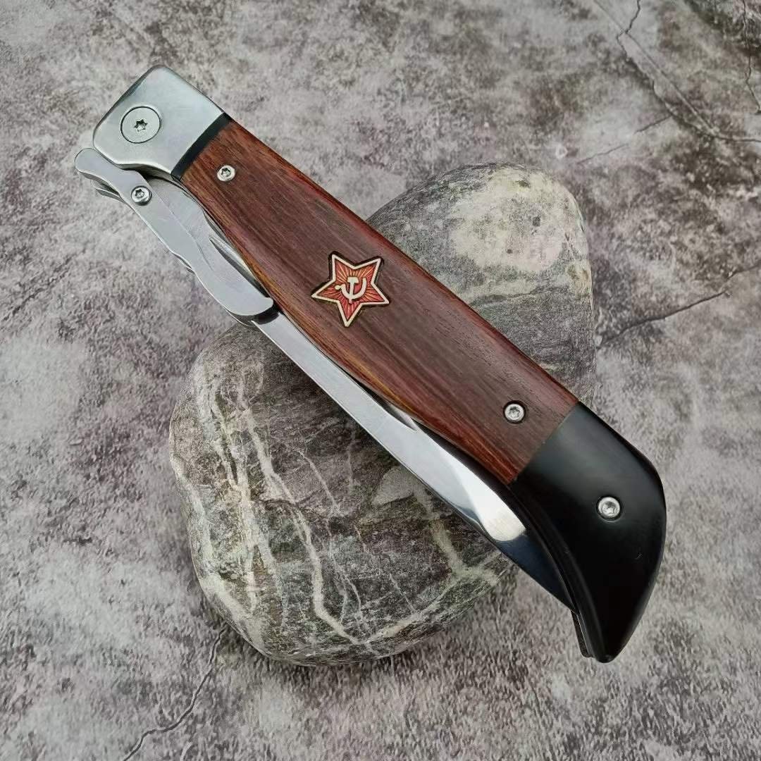 A second generation of patriots camping in the open and roasting field for their little knife and fruit